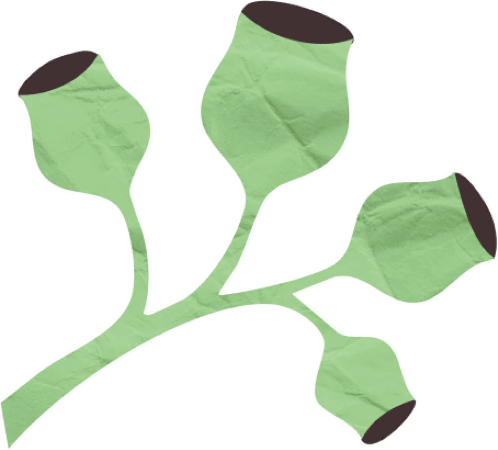 Green abstract plant with four branches